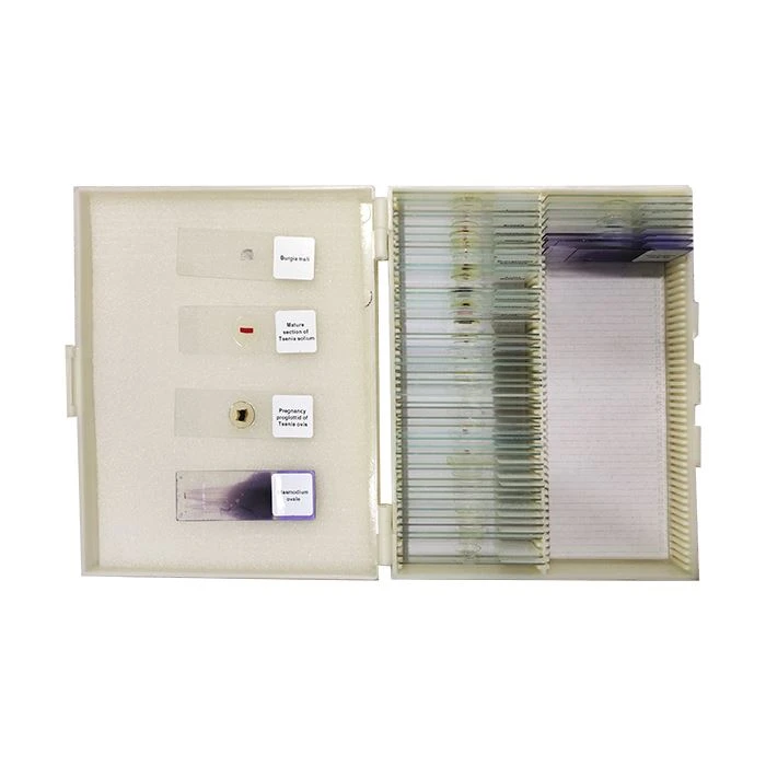 microscope slides